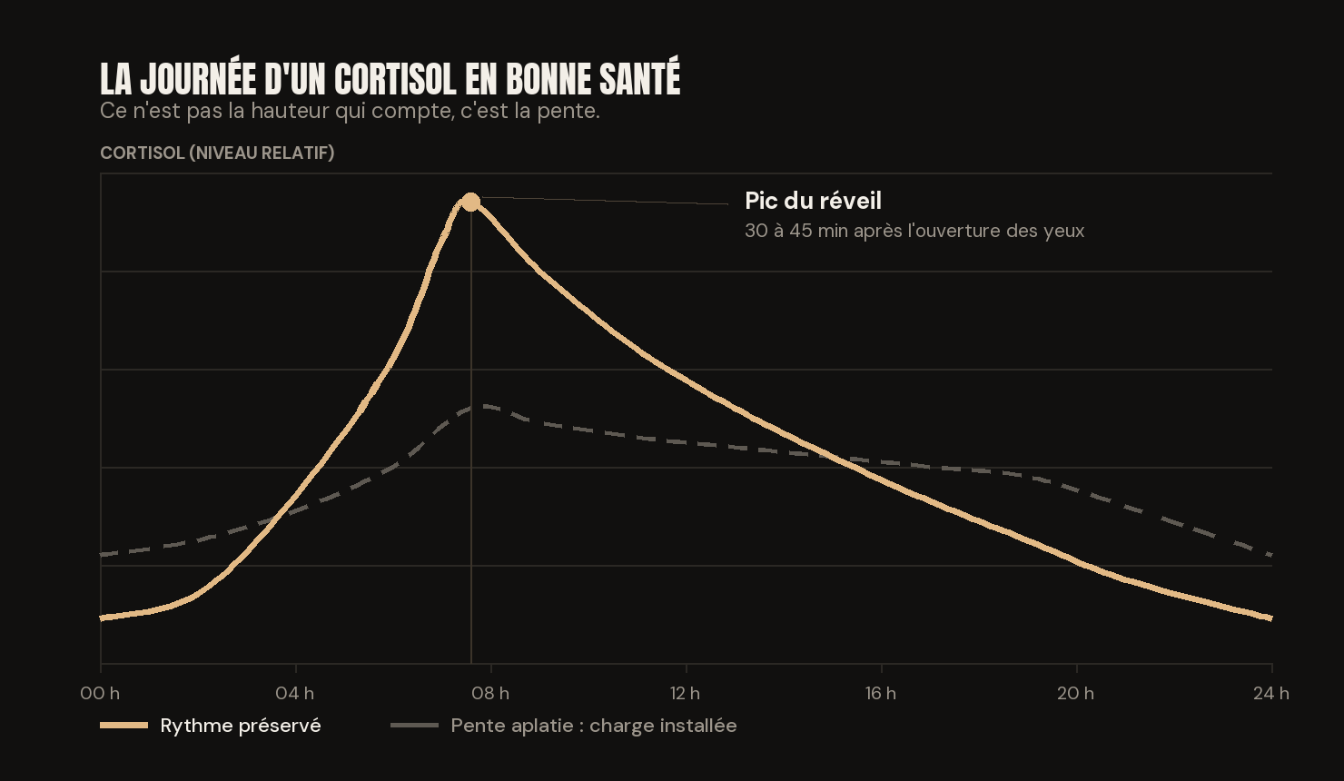 Courbe du cortisol sur 24 h : plancher la nuit, pic après le réveil, descente jusqu'au soir ; en pointillé, la même aplatie