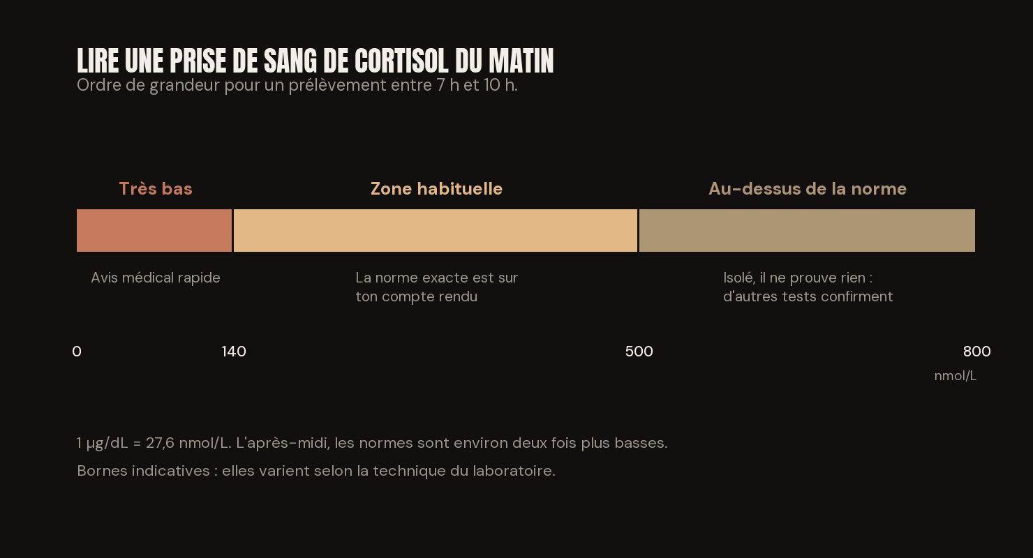 Échelle de lecture d'une prise de sang de cortisol du matin : très bas sous 140 nmol/L, zone habituelle jusqu'à environ 500, puis au-dessus de la norme