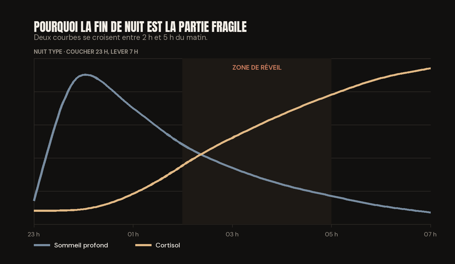 Graphique d'une nuit de 23 h à 7 h : le sommeil profond décroît pendant que le cortisol remonte, croisement vers 3 h