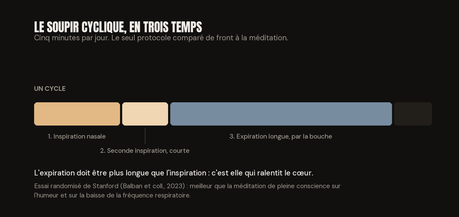 Un cycle de soupir cyclique : inspiration nasale, seconde inspiration courte, puis expiration longue par la bouche